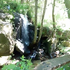 DSCN2262