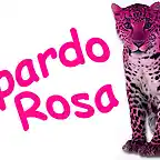 Leopardo Rosa