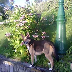 Foto0201