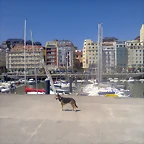 Foto0192