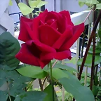 Foto0059