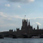 la paloma del Big-Ben