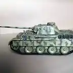 Panther 1