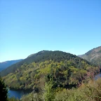 DSCN5193