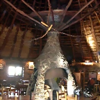 DSCN6758
