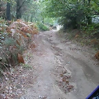 DSCN8444