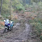 DSCN8451