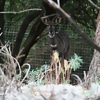 Zoo Lunaret + Sigean 18 i 19-09-10 173