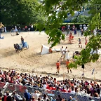 DSCN3947