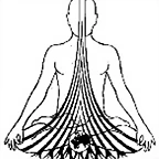 chakra1