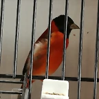 IMG_20170122_132232