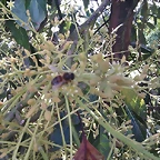 IMAG0146