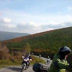 Pulpada 2010 101