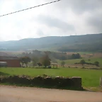 Pulpada 2010 110