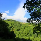 IMG_7937