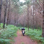 DSCN1205