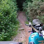DSCN1204