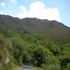 DSCN5983