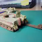 Tiger117