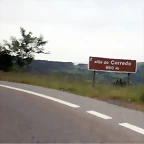 DSCN6504