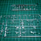 DSCN4261