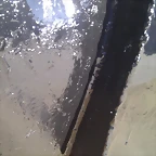 IMAG0202