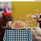 happy-birthday