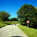 DSCN8951