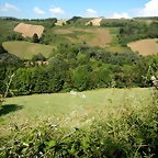 DSCN9161