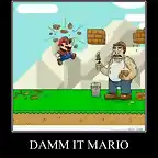 demotivational-posters-damm-it-mario