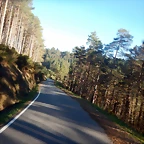 DSCN2604
