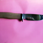DSCF1711