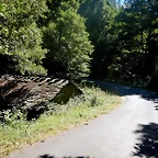 DSCN4527