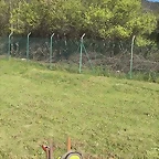 Video Hugo twitter 5-5-2016 (1)