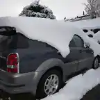 Rex im Schnee seitlich hinten