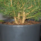 DSCN2332