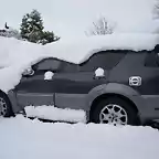 Rex im Schnee seite