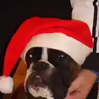 maya primeras navidades 010