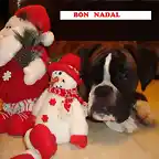 maya primeras navidades 017