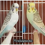 FB_IMG_1550144959248
