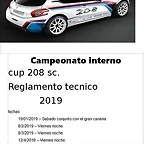 reglamento cup 208 1