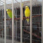 IMG_20180420_170752