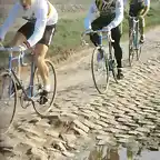 1981-ROUBAIX-HINAULT-IVON BERTIN-BERNARD QUILFEN.