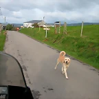 DSCN6262