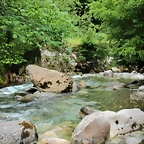 IMG_6694