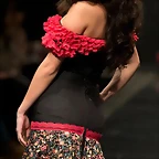 Pasarela 14-2-2015 (48)