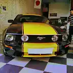 MUSTANG chiguy41 xtra 3