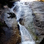 DSCN0682