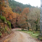 DSCN3101