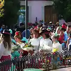 14, ofrenda de flores, marca